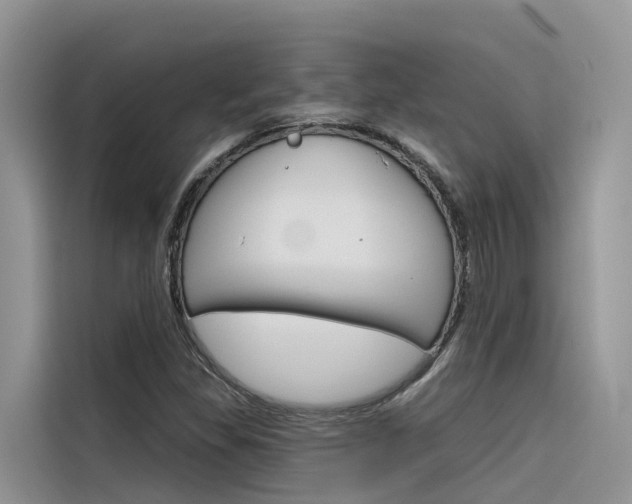 X0000116341309200912011010