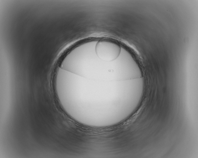 X0000116341311200912011010