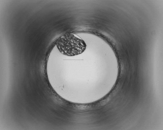 X0000116341314200912011010