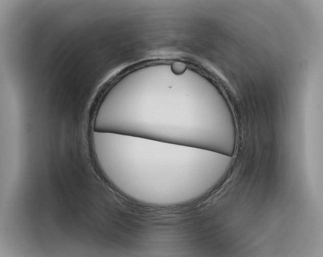 X0000116341315200912011010