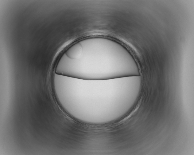 X0000116341317200912011010
