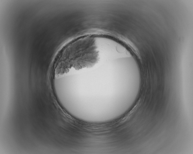 X0000116341318200912011010