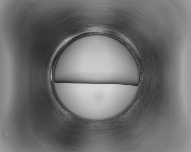 X0000116341323200912011010