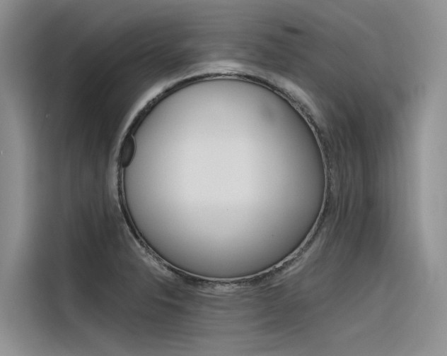 X0000116341326200912011010