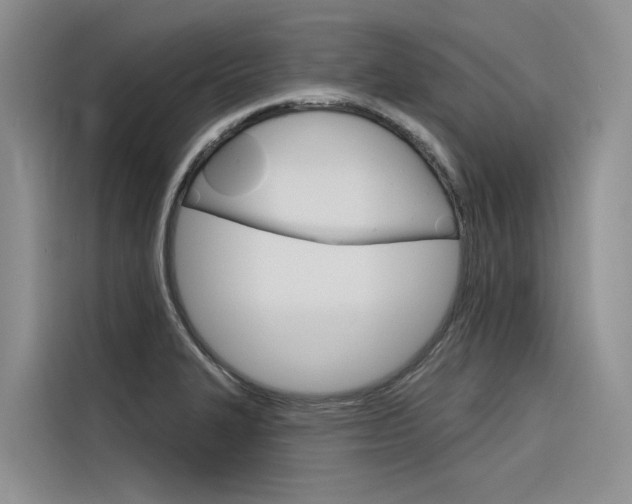 X0000116341327200912011010