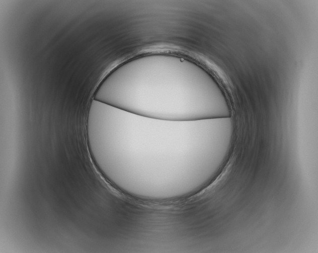 X0000116341329200912011010