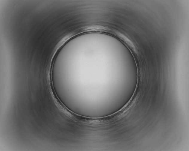 X0000116341330200912011010