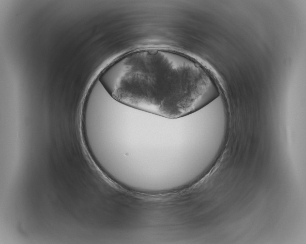 X0000116341333200912011010