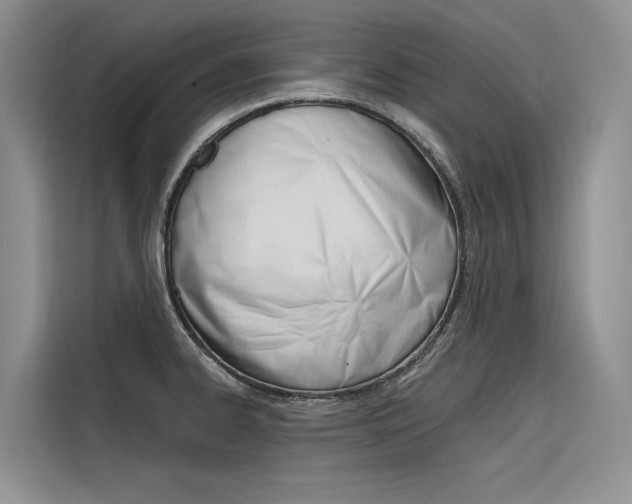 X0000116341334200912011010