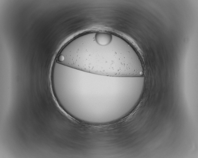 X0000116341335200912011010