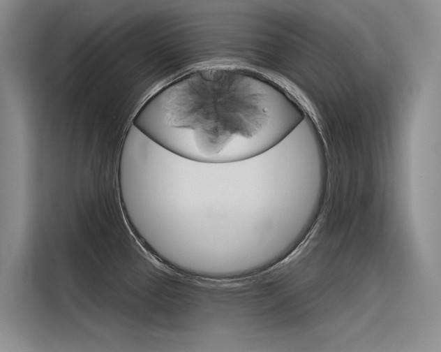 X0000116341337200912011010