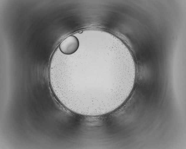 X0000116341338200912011010