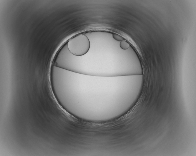 X0000116341339200912011010