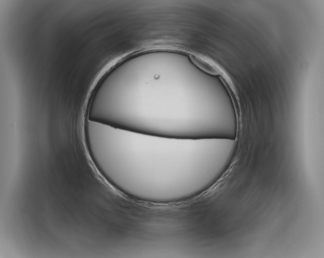 X0000116341341200912011010