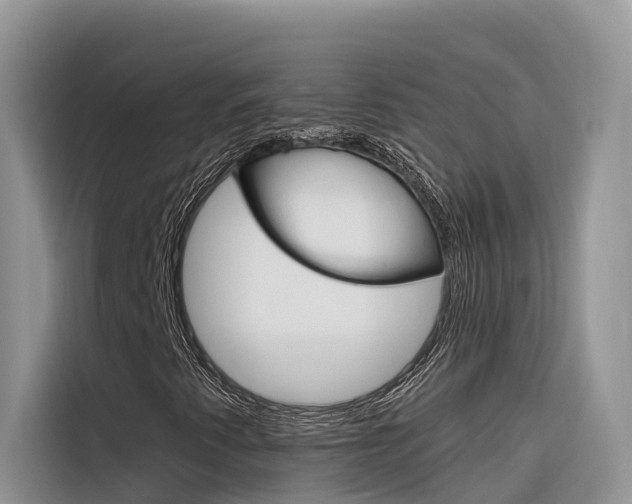 X0000116341345200912011010