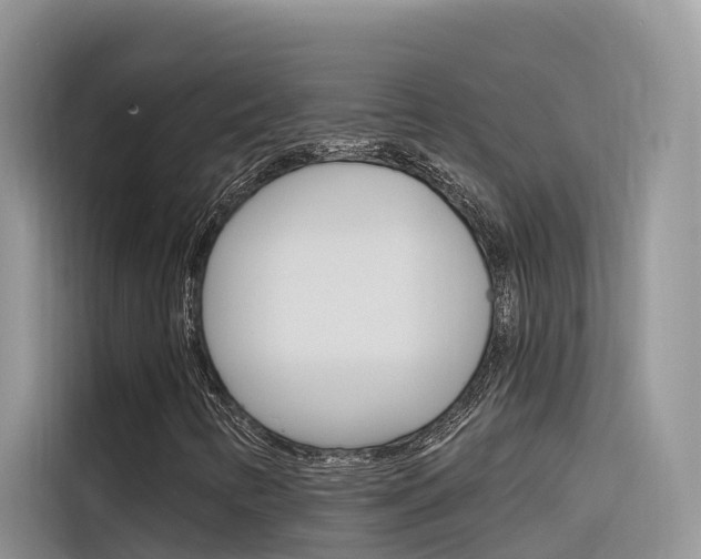 X0000116341346200912011010
