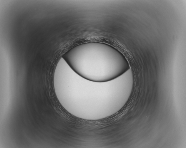 X0000116341348200912011010