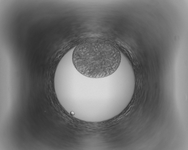X0000116341349200912011010