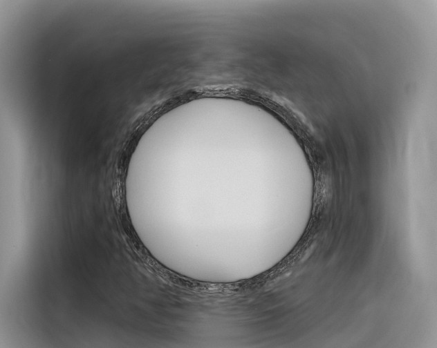 X0000116341350200912011010
