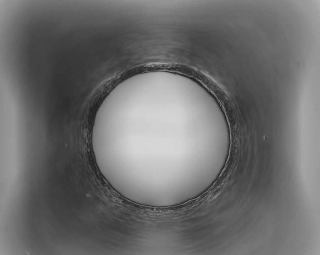 X0000116341351200912011010