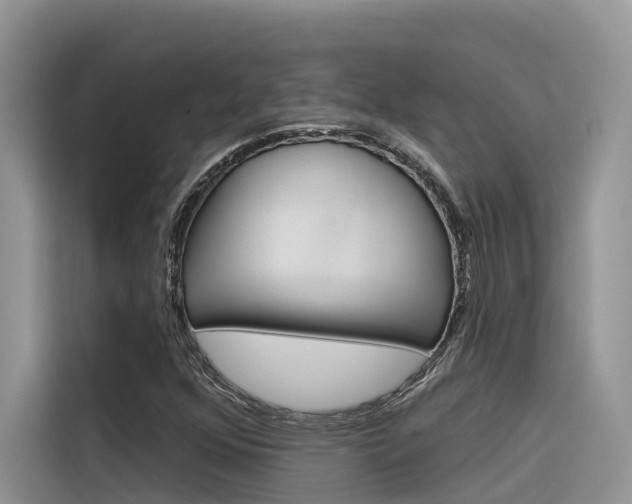 X0000116341352200912011010