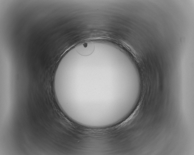 X0000116341353200912011010