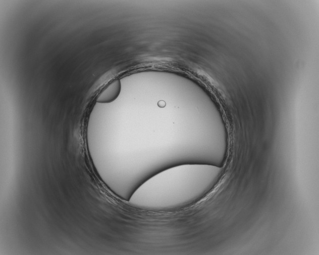 X0000116341354200912011010