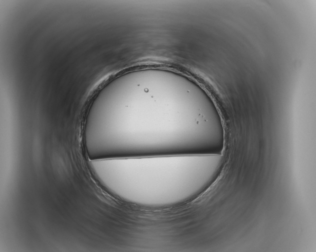 X0000116341355200912011010