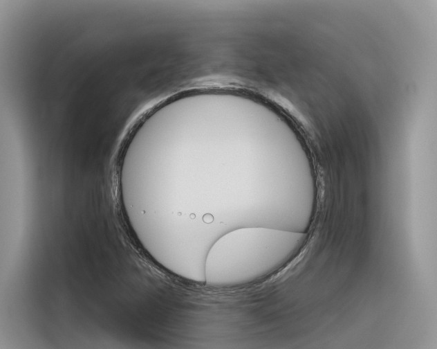 X0000116341358200912011010