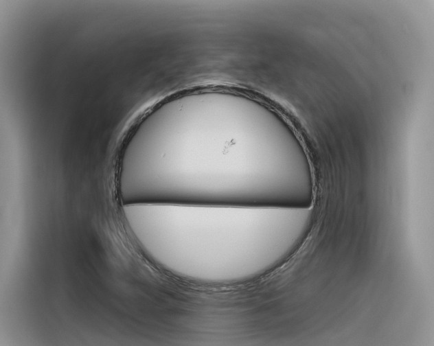 X0000116341359200912011010