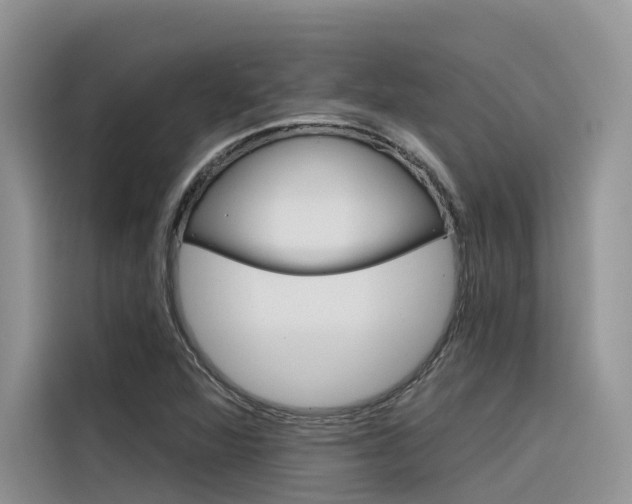 X0000116341360200912011010