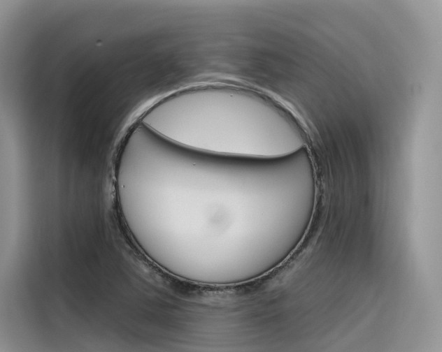 X0000116341363200912011010