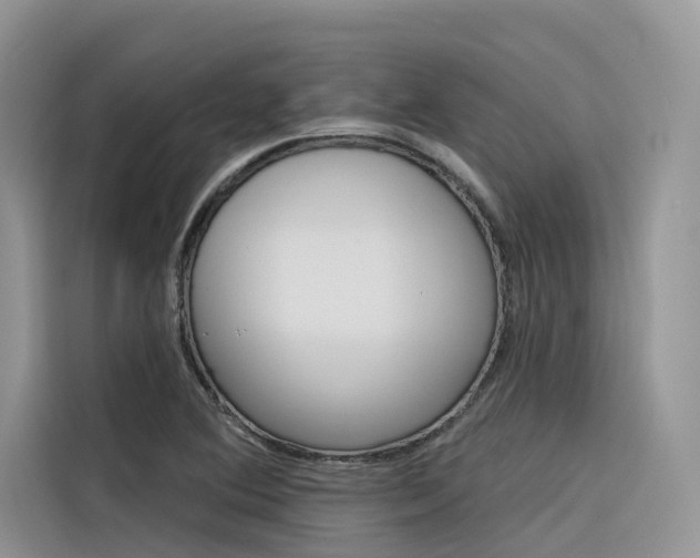 X0000116341364200912011010