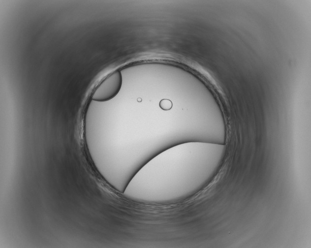 X0000116341366200912011010