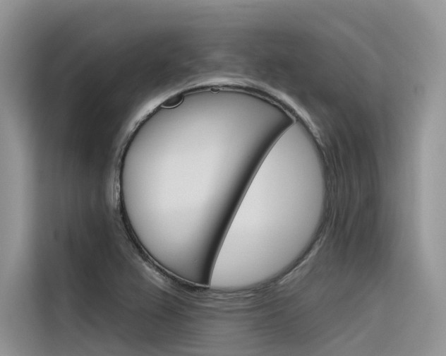 X0000116341367200912011010