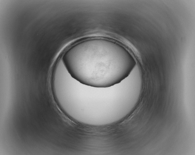 X0000116341368200912011010