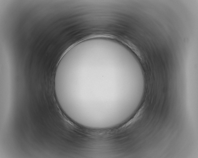 X0000116341369200912011010