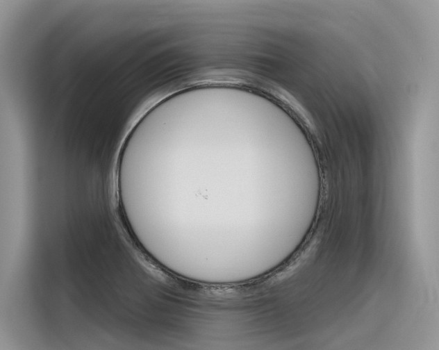 X0000116341370200912011010