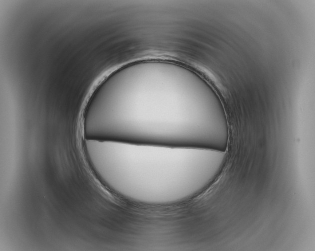 X0000116341371200912011010