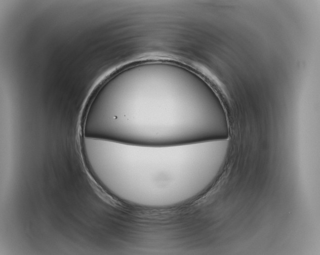 X0000116341372200912011010
