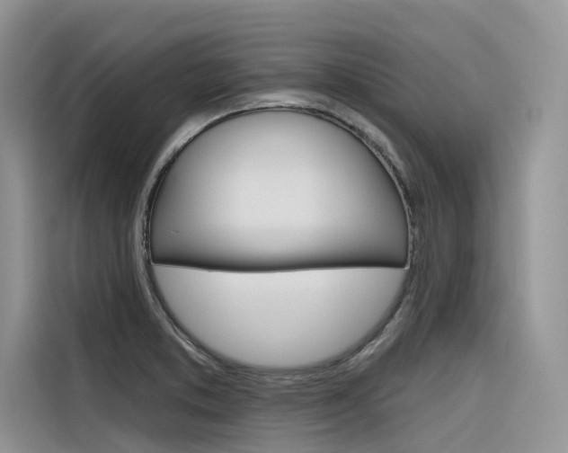 X0000116341373200912011010