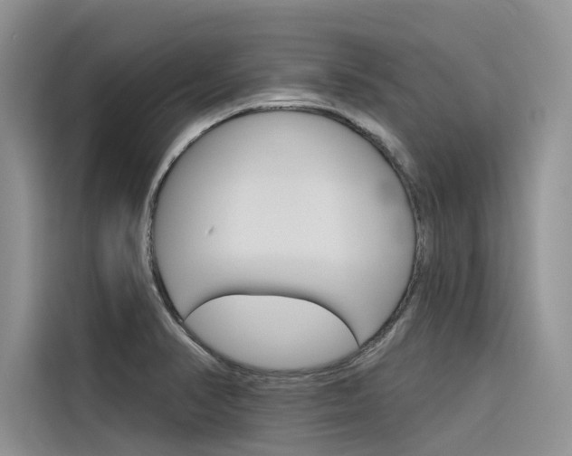 X0000116341374200912011010