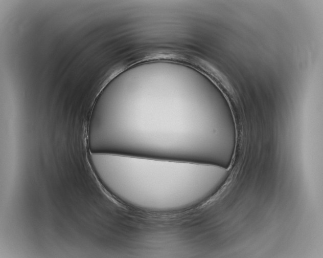 X0000116341377200912011010