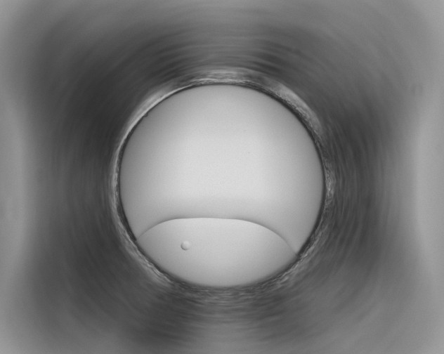 X0000116341378200912011009