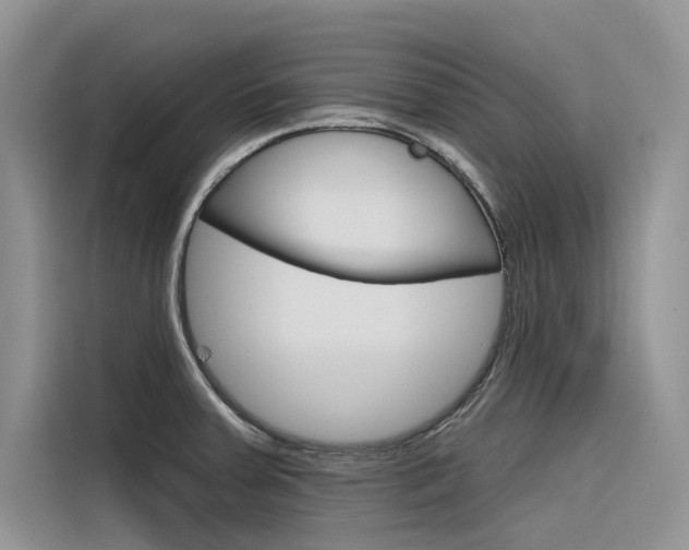 X0000116341379200912011009