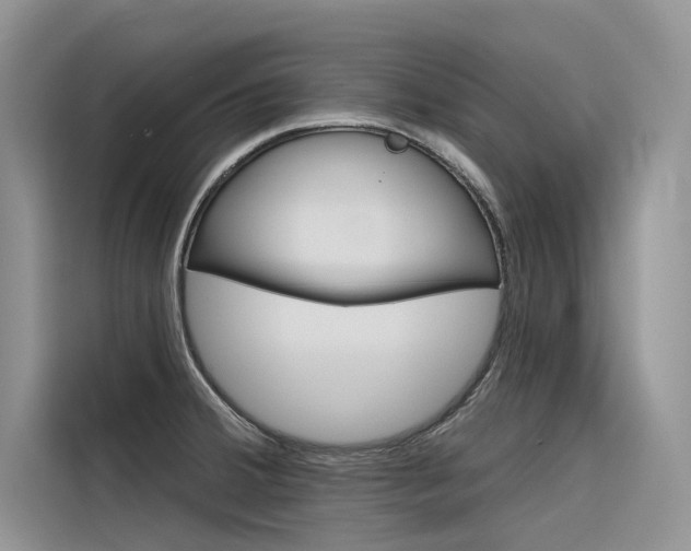 X0000116341380200912011009