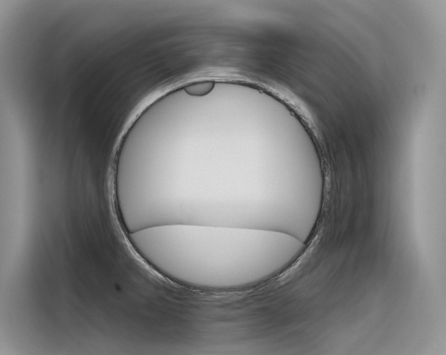 X0000116341382200912011009