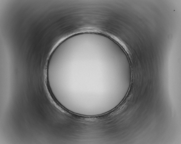 X0000116341383200912011009