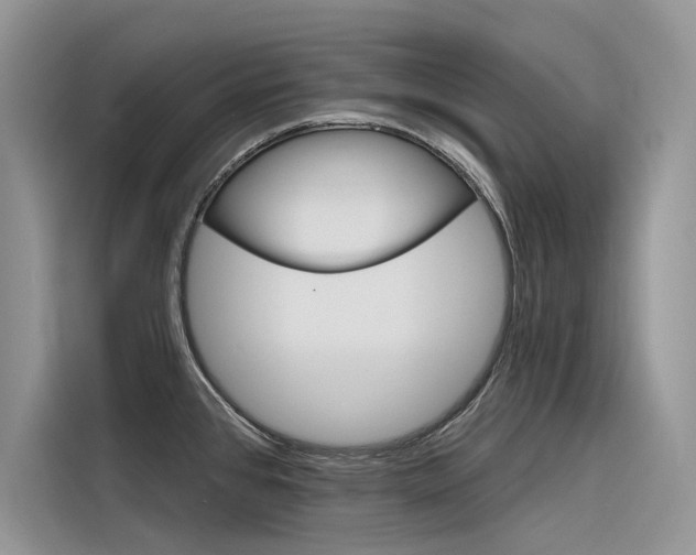X0000116341384200912011009