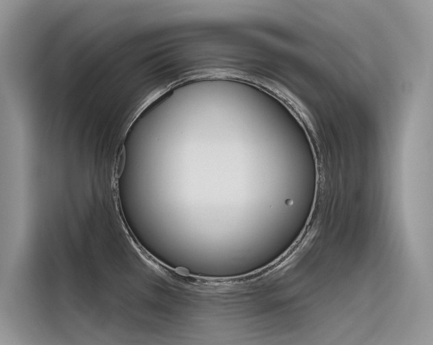 X0000116341385200912011009